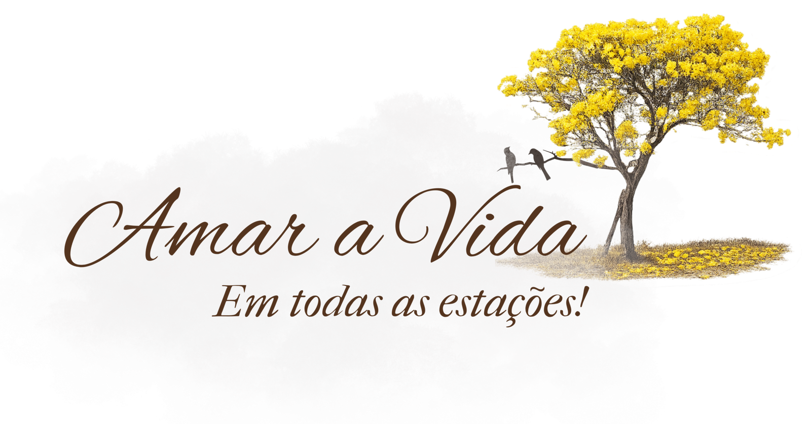 Amar a Vida