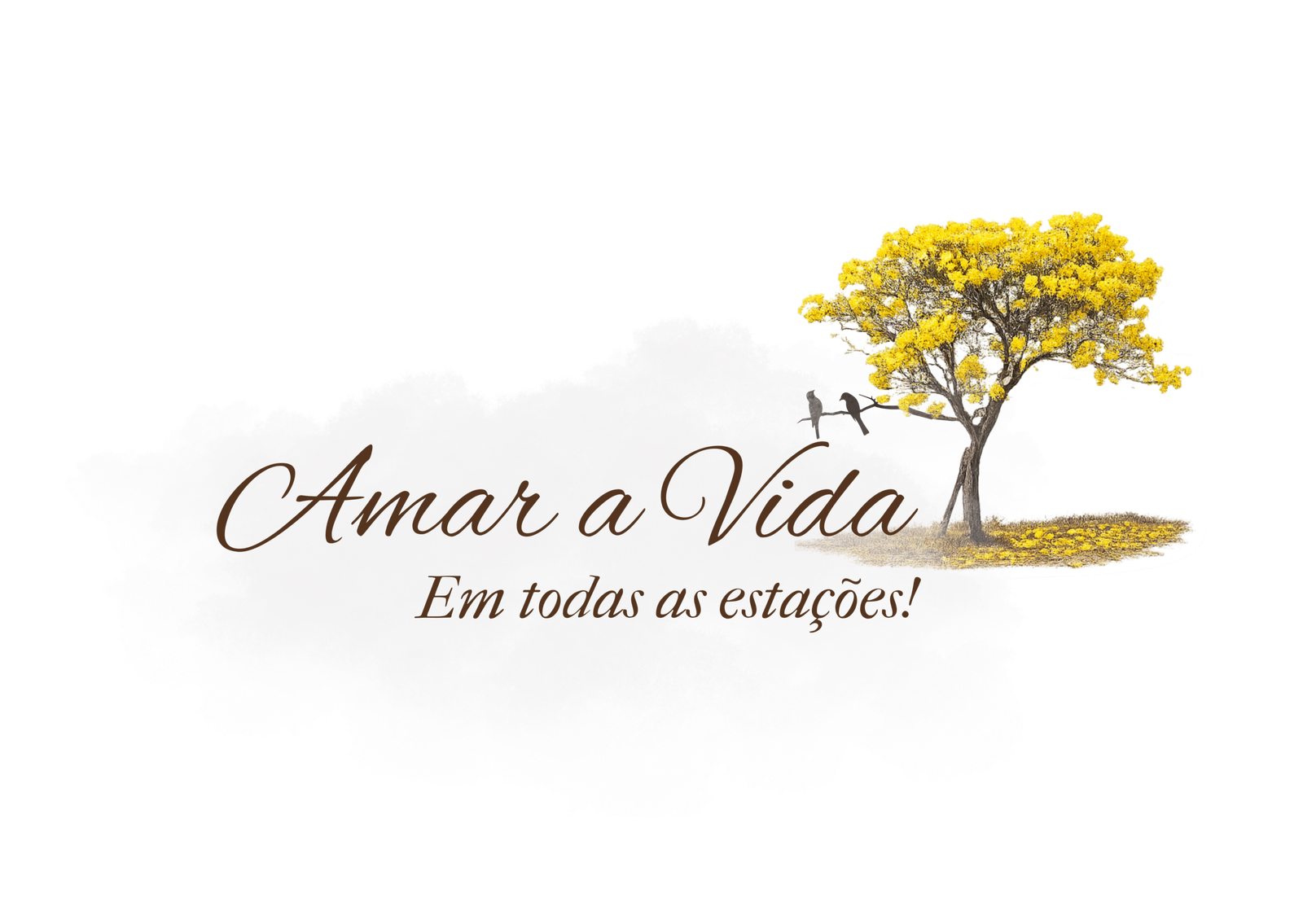 Amar a Vida
